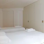 Alegria Lisboa